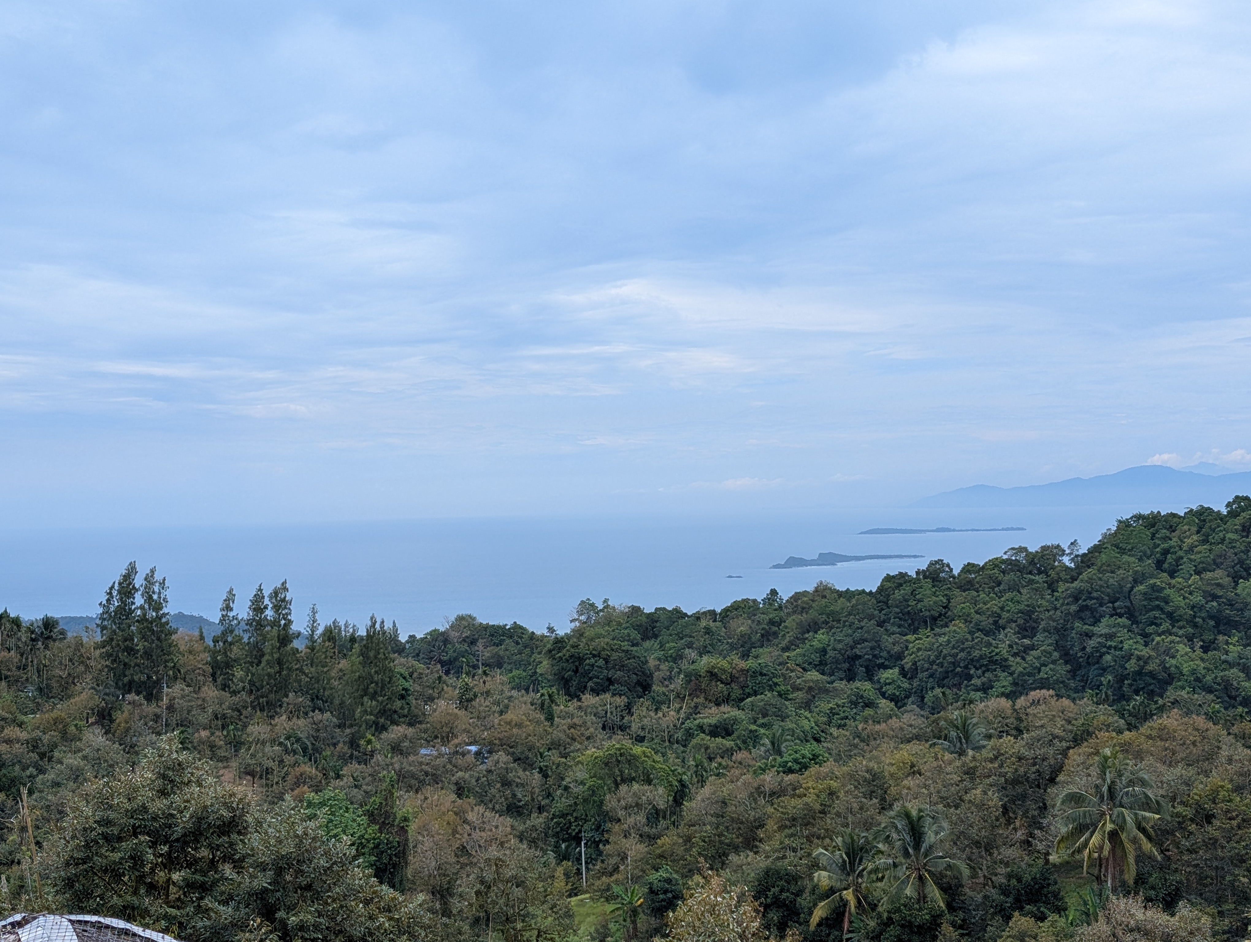 PXL 20260306 053640119